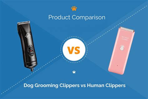 difference between dog clippers and human hair clippers|dog grooming clippers vs humans.